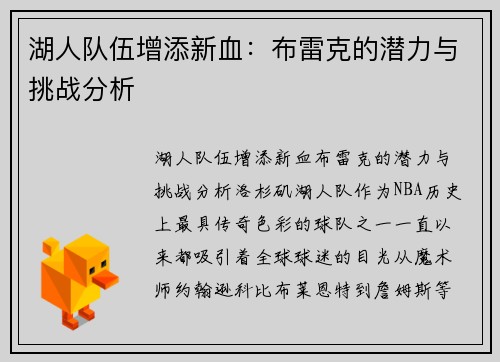 湖人队伍增添新血：布雷克的潜力与挑战分析